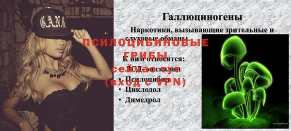 героин Алексин